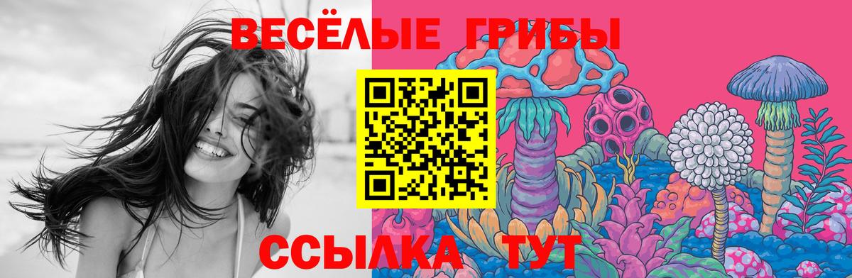 Галлюциногенные грибы MAGIC MUSHROOMS Россия