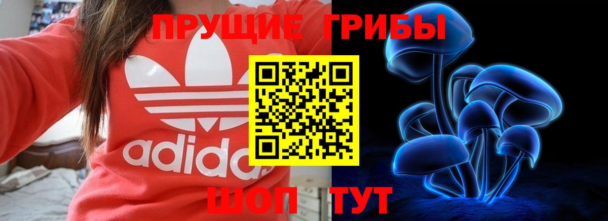 Россия  Псилоцибиновые грибы MAGIC MUSHROOMS  Вход с VPN 
